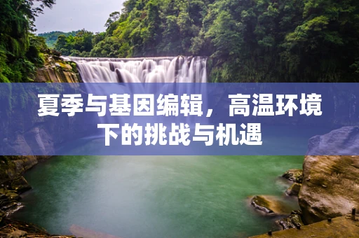 夏季与基因编辑，高温环境下的挑战与机遇