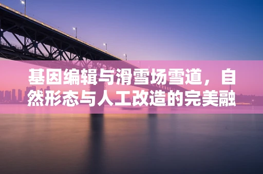 基因编辑与滑雪场雪道，自然形态与人工改造的完美融合？