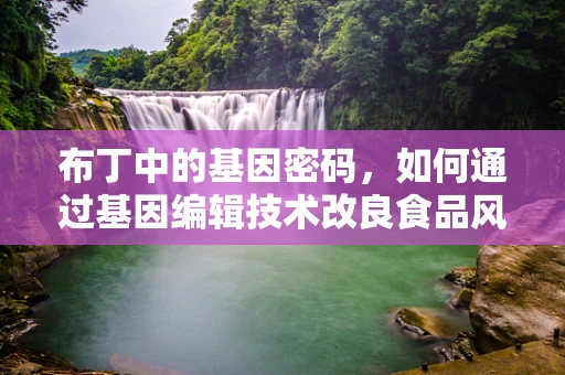 布丁中的基因密码，如何通过基因编辑技术改良食品风味？
