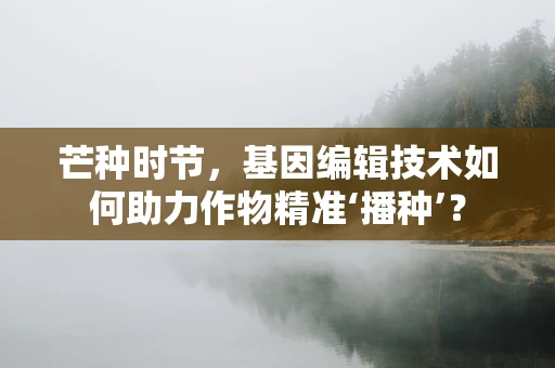 芒种时节，基因编辑技术如何助力作物精准‘播种’？