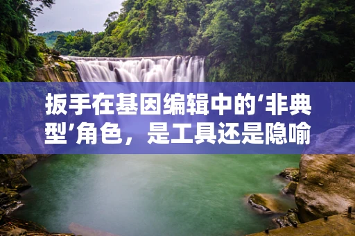 扳手在基因编辑中的‘非典型’角色，是工具还是隐喻？