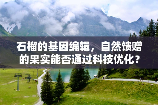 石榴的基因编辑，自然馈赠的果实能否通过科技优化？