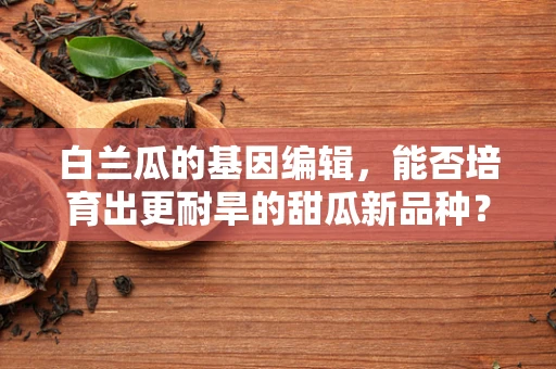 白兰瓜的基因编辑，能否培育出更耐旱的甜瓜新品种？