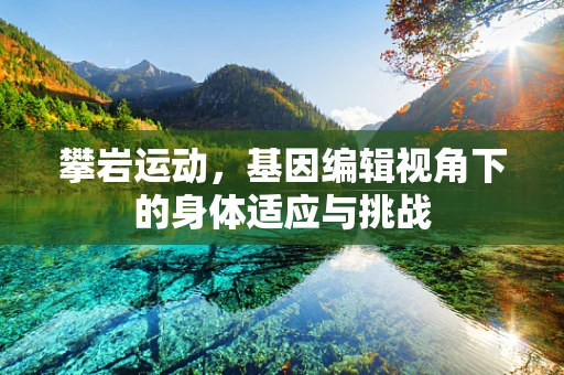 攀岩运动，基因编辑视角下的身体适应与挑战