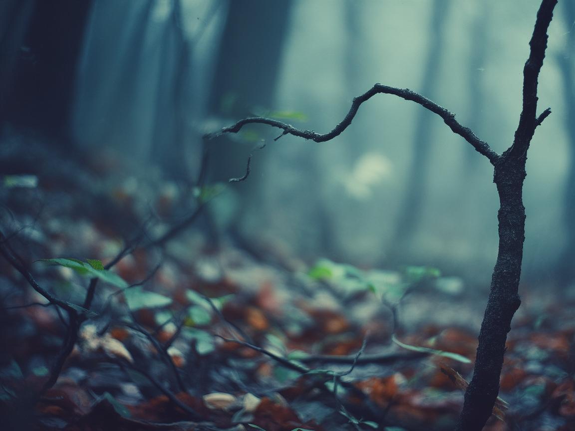 忧郁的基因之谜，为何某些人天生更易感？